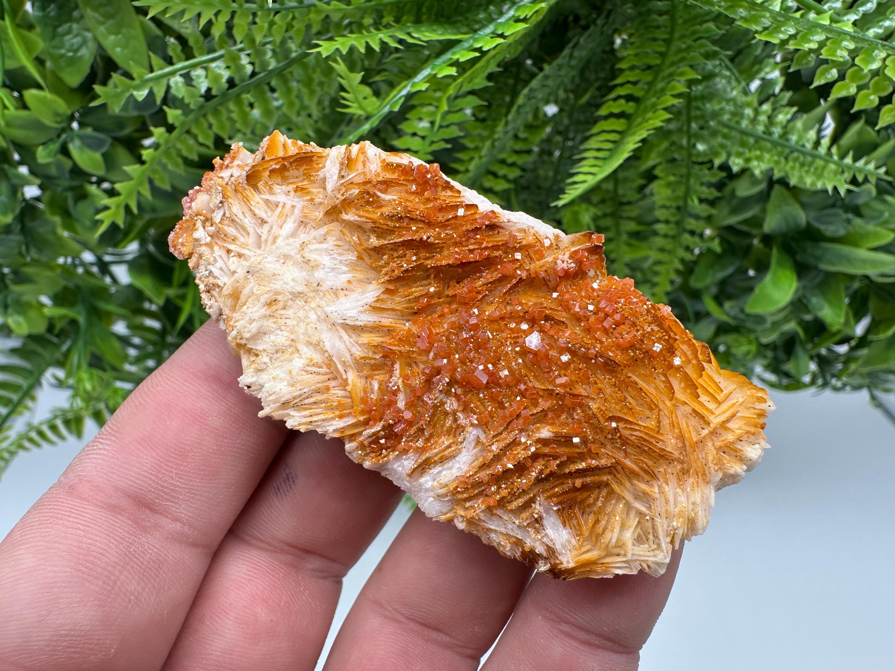 Red Vanadinite on Barite, Morocco Crystal Cluster