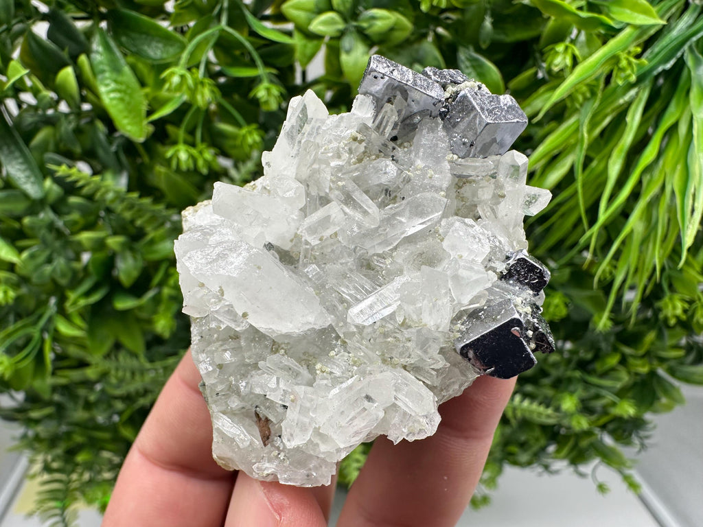 Aesthetic Natural shiny Galena whit Siderite and Quartz from 9 th September mine,Bulgaria,collection specimen,rare galena,Galena cluster