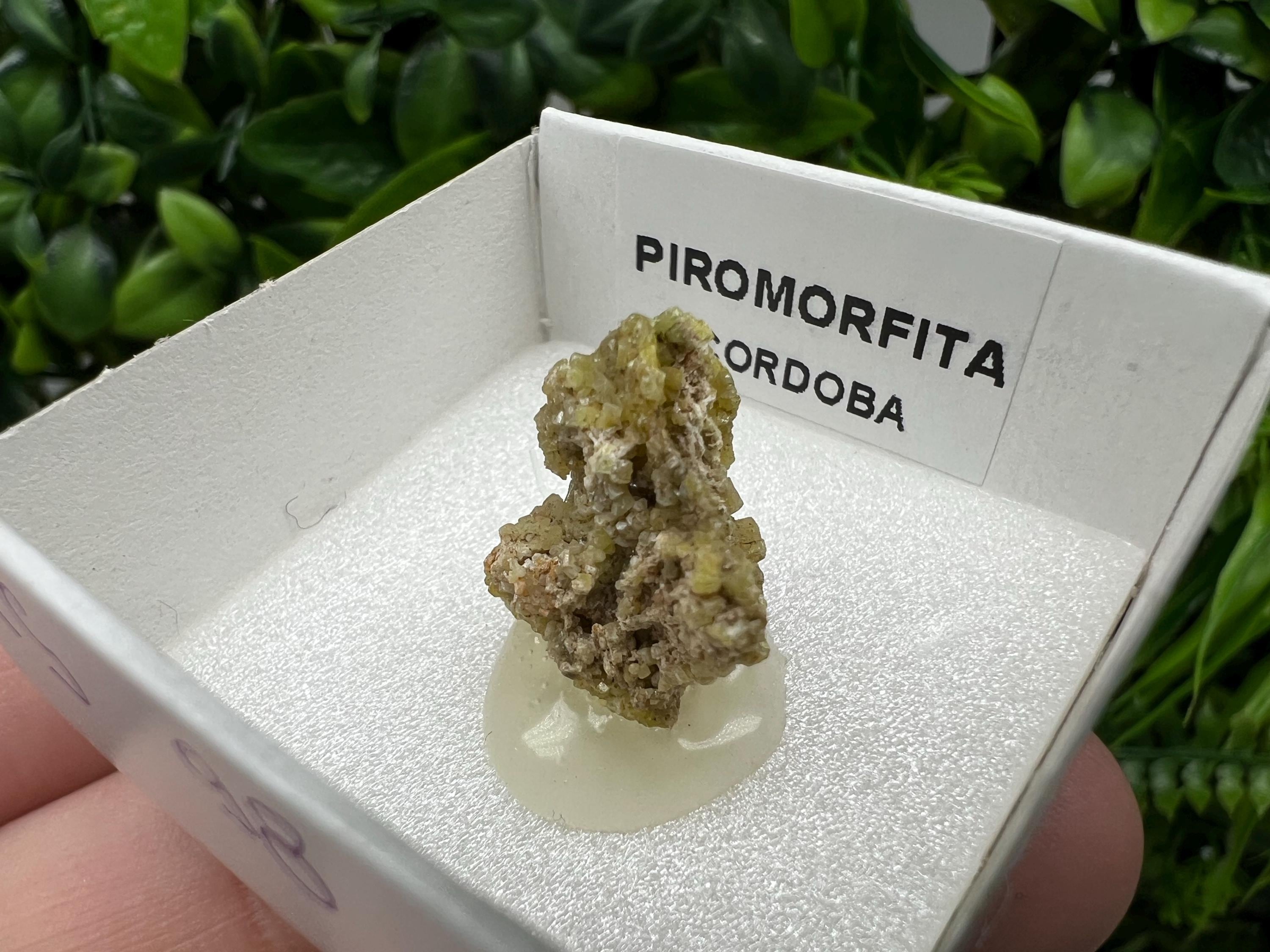 Pyromorphite Stone / Pyromorphite on Matrix / Pyromorphite Crystal / Raw Crystal / Pyromorphite Cluster / Rough Pyromorphite / Pyromorphite
