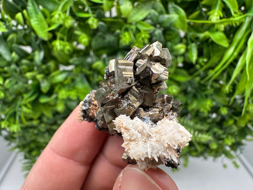 Golden Pyrite,Sphalerite from 9th September mine,Madan,Bulgaria,natural,collectible mineral specimen,home decor crystal,Pyrite cluster,