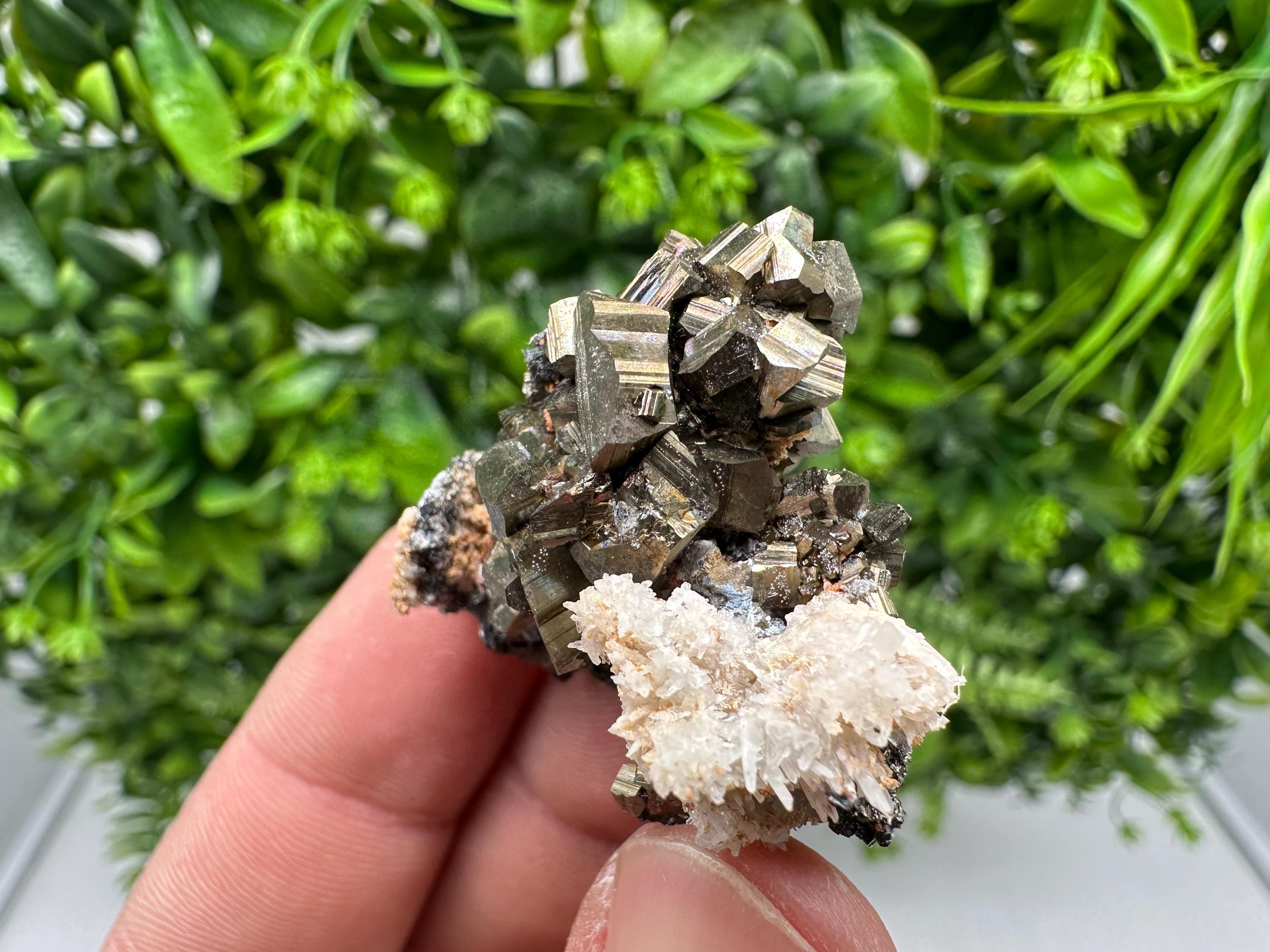 Golden Pyrite,Sphalerite from 9th September mine,Madan,Bulgaria,natural,collectible mineral specimen,home decor crystal,Pyrite cluster,