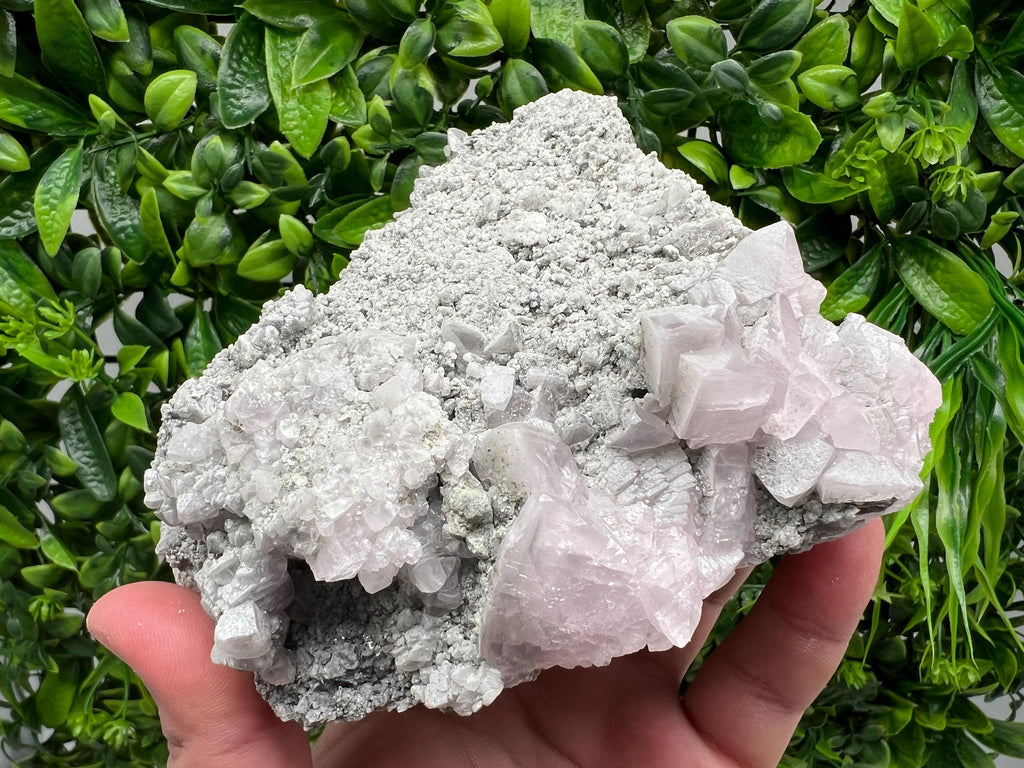 UV Reactive Mangano Calcite Crystal, Androvo Mine Bulgaria