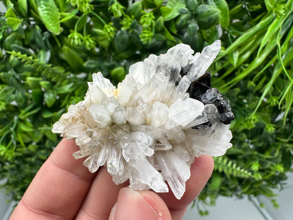Quartz Sphalerite Chalcopyrite Mineral Specimen, Madan Bulgaria