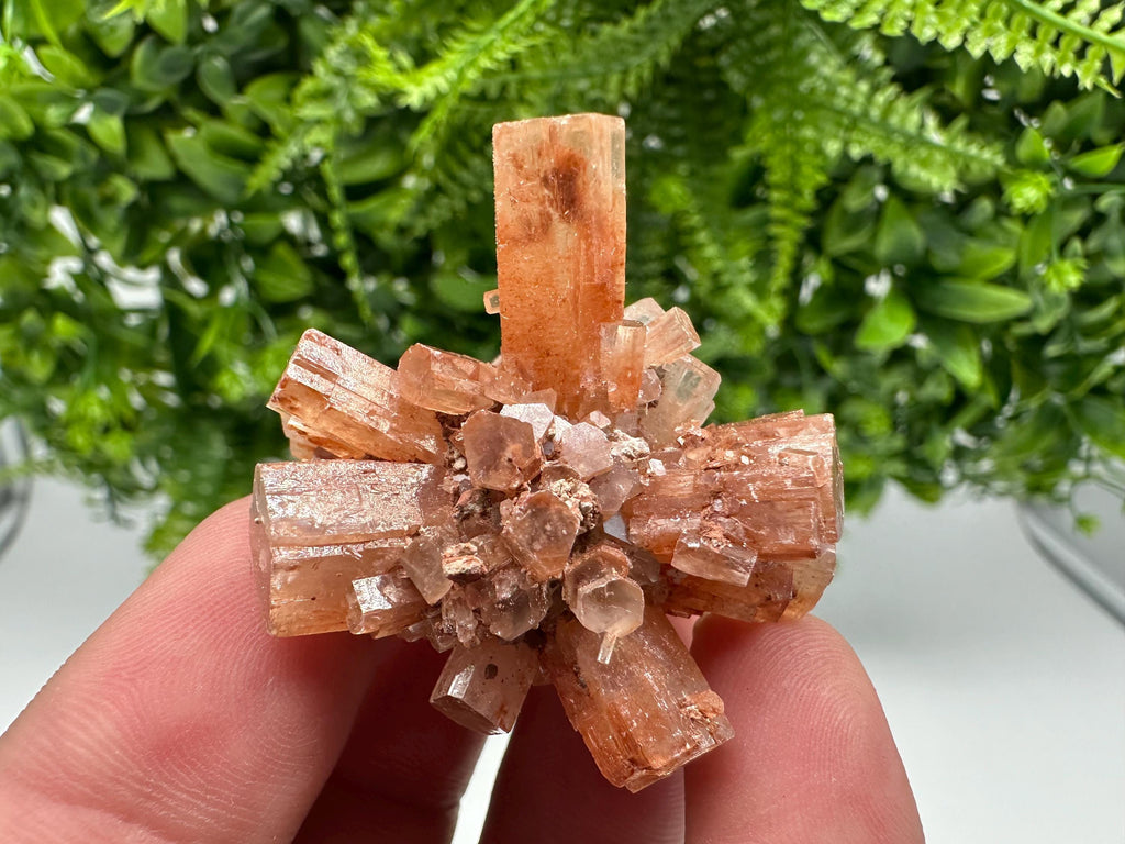 Moroccan Aragonite Sputnik Crystal Cluster: Raw Stone Decor