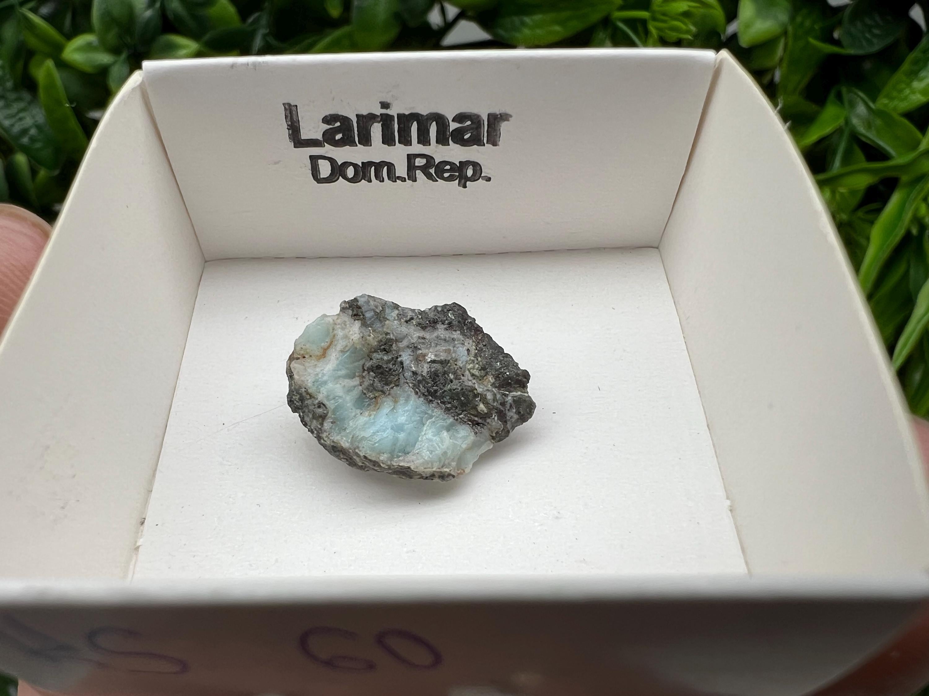 Rare Raw Larimar Specimen: Dominican Republic Mineral Collection (20/15mm)