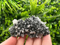 Quartz with Calcite and Chlorite: Borieva Mine Crystal Souvenir