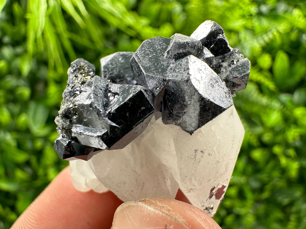 Shiny Galena on Calcite, Borieva Mine Mineral Specimen