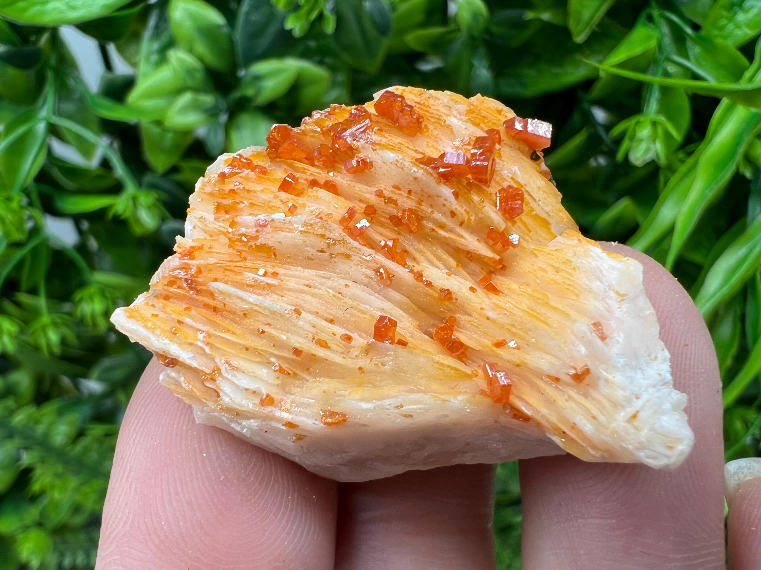 Red Vanadinite on Barite from Marocco,crystal minerals Speciment cluster Vanadinite crystal Vanadinite Geology Vanadinite cluster minerals