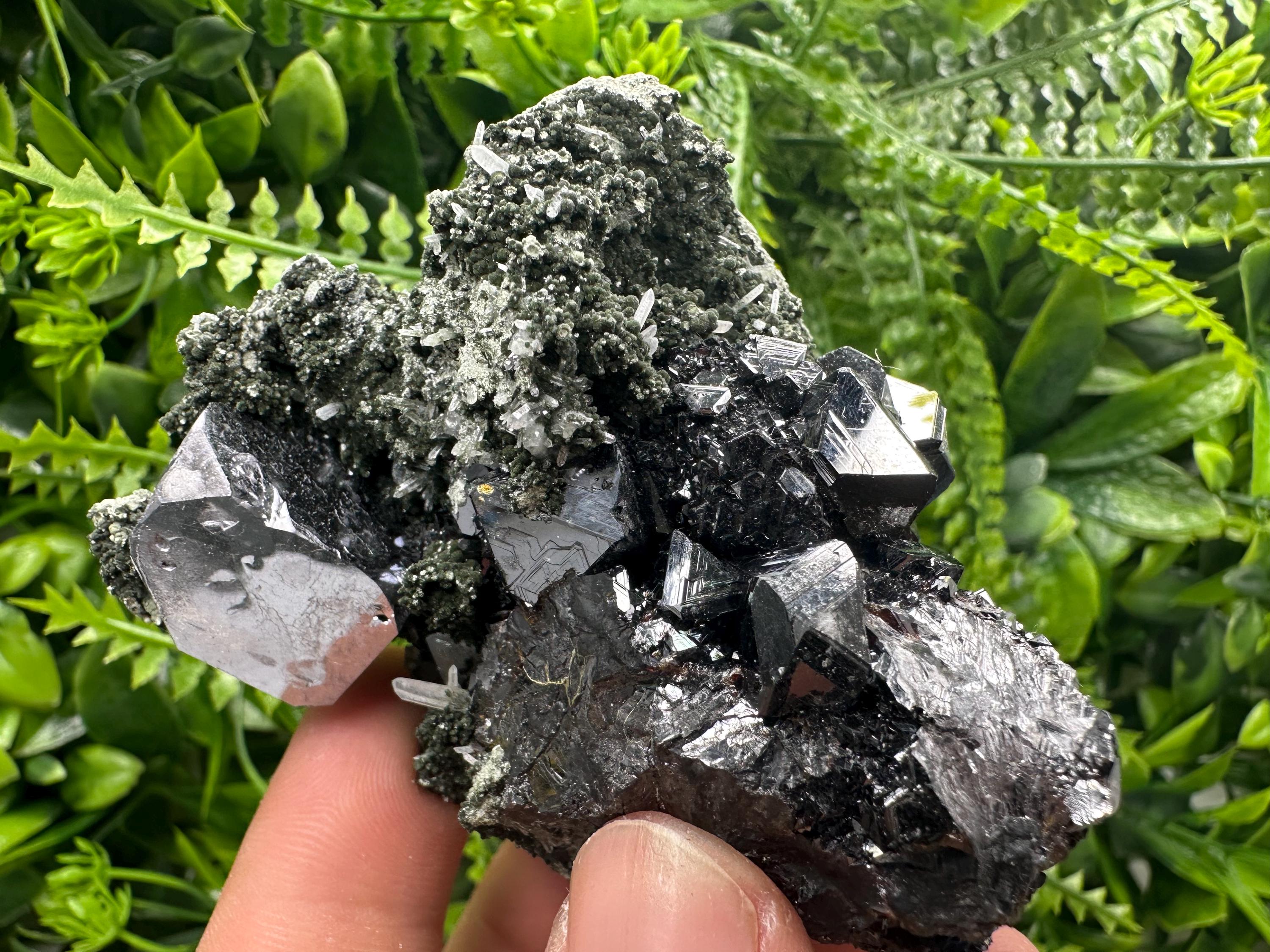 Galena with Black Sphalerite: Natural Minerals Souvenir, Borieva Bulgaria