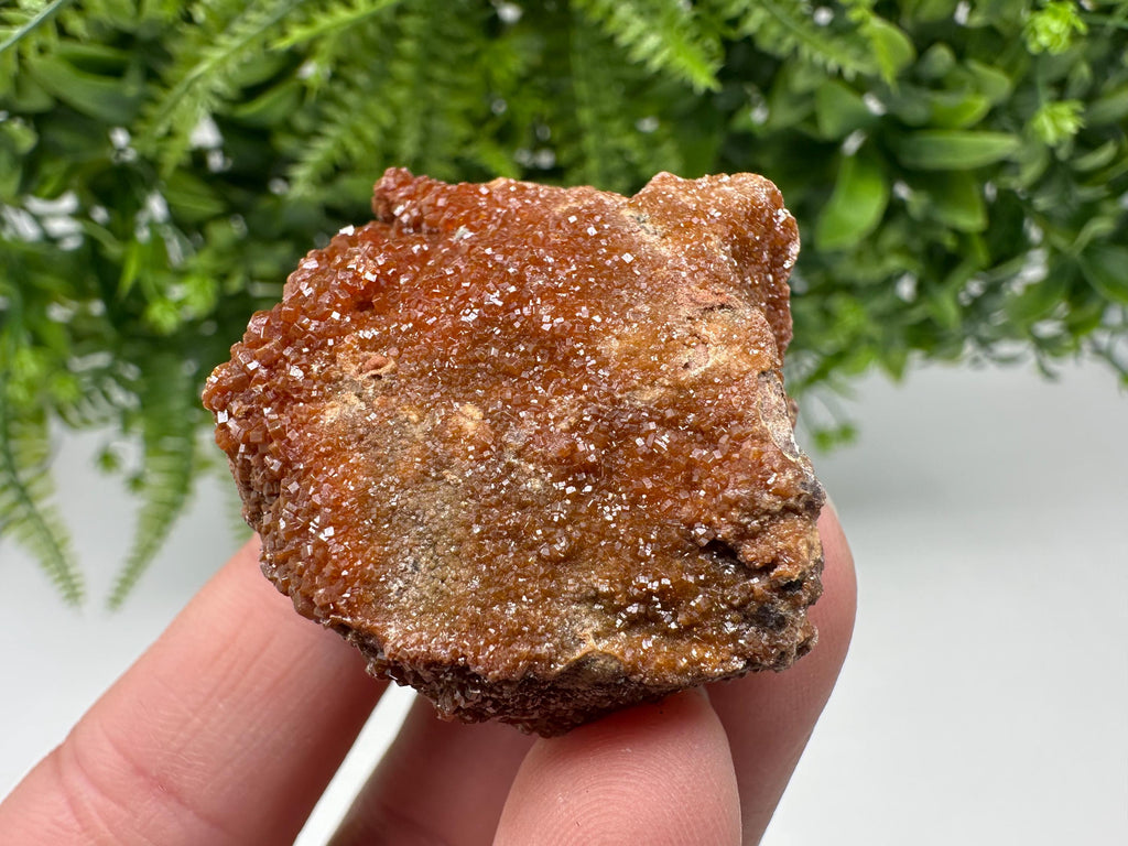 Red Vanadinite on Matrix from Marocco,crystal minerals Speciment cluster Vanadinite crystal Vanadinite Geology Vanadinite cluster minerals