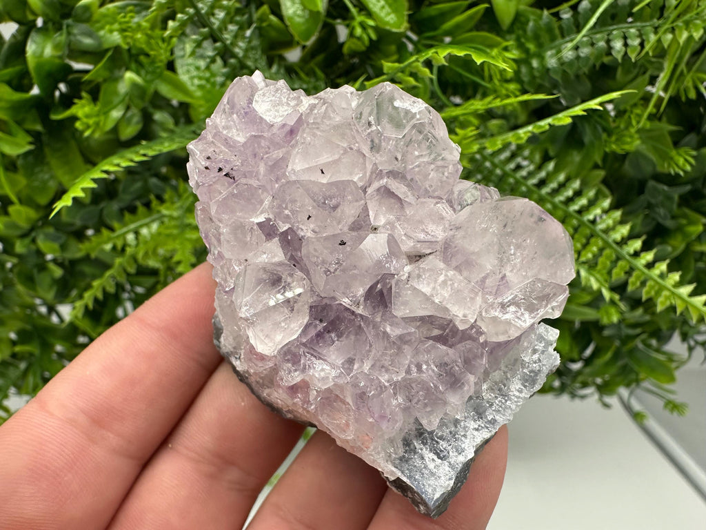 Brazilian Amethyst Cluster, Purple Quartz Crystal Specimen