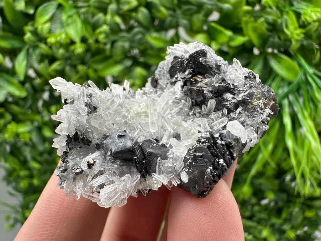 Wonderful Sphalerite Chalcopyrite on  Quartz whit Galena feom 9 th September mine,Bulgaria,natural,collection mineral specimen,gift