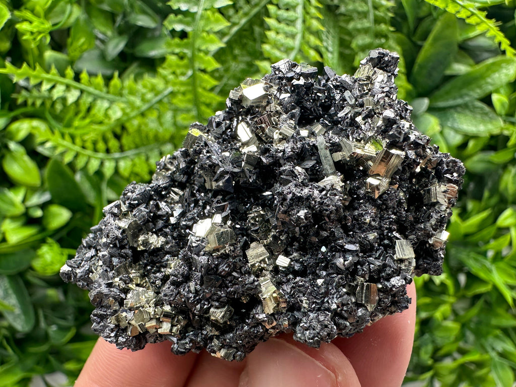 Golden Pyrite with Sphalerite, Borieva Mine Mineral Specimen
