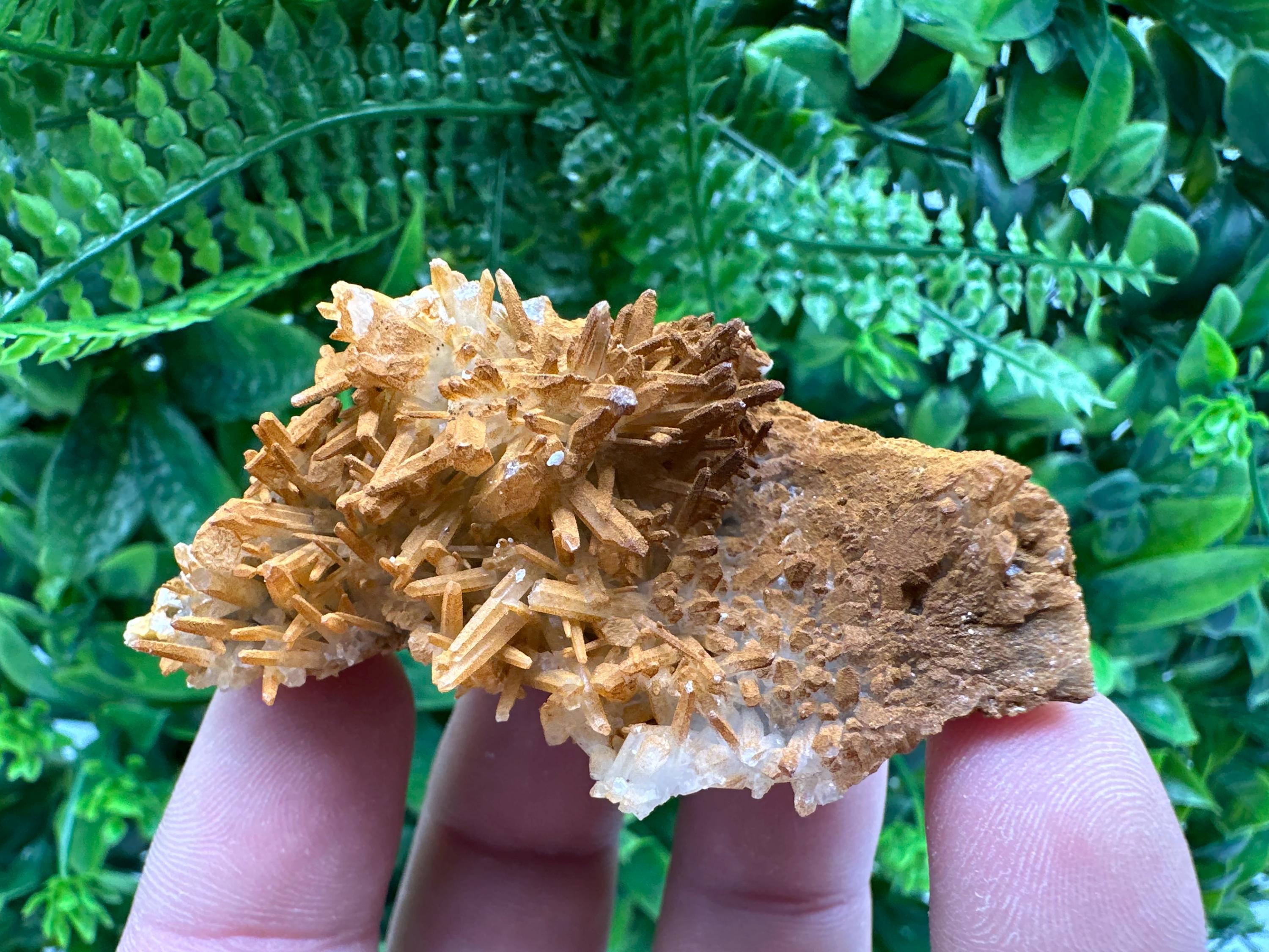 Limonite Coated Quartz Crystal - Iron Oxide Mineral Specimen