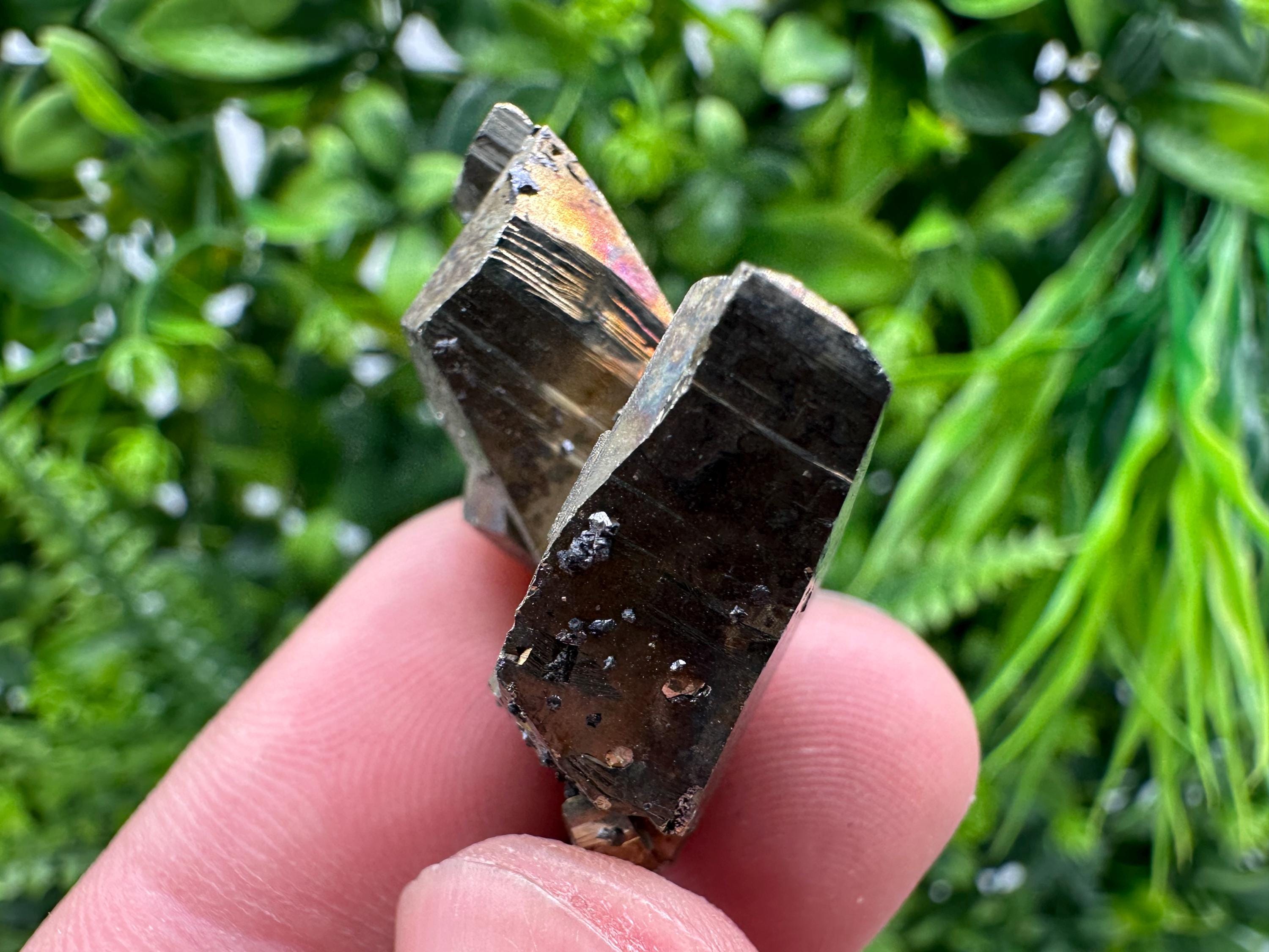 Mini Rainbow Pyrite Cluster, Borieva Mine Crystallization Specimen