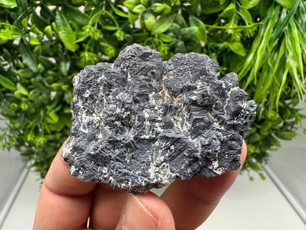 Galena Spinel Law Mineral Specimen: Krushev Dol, Bulgaria