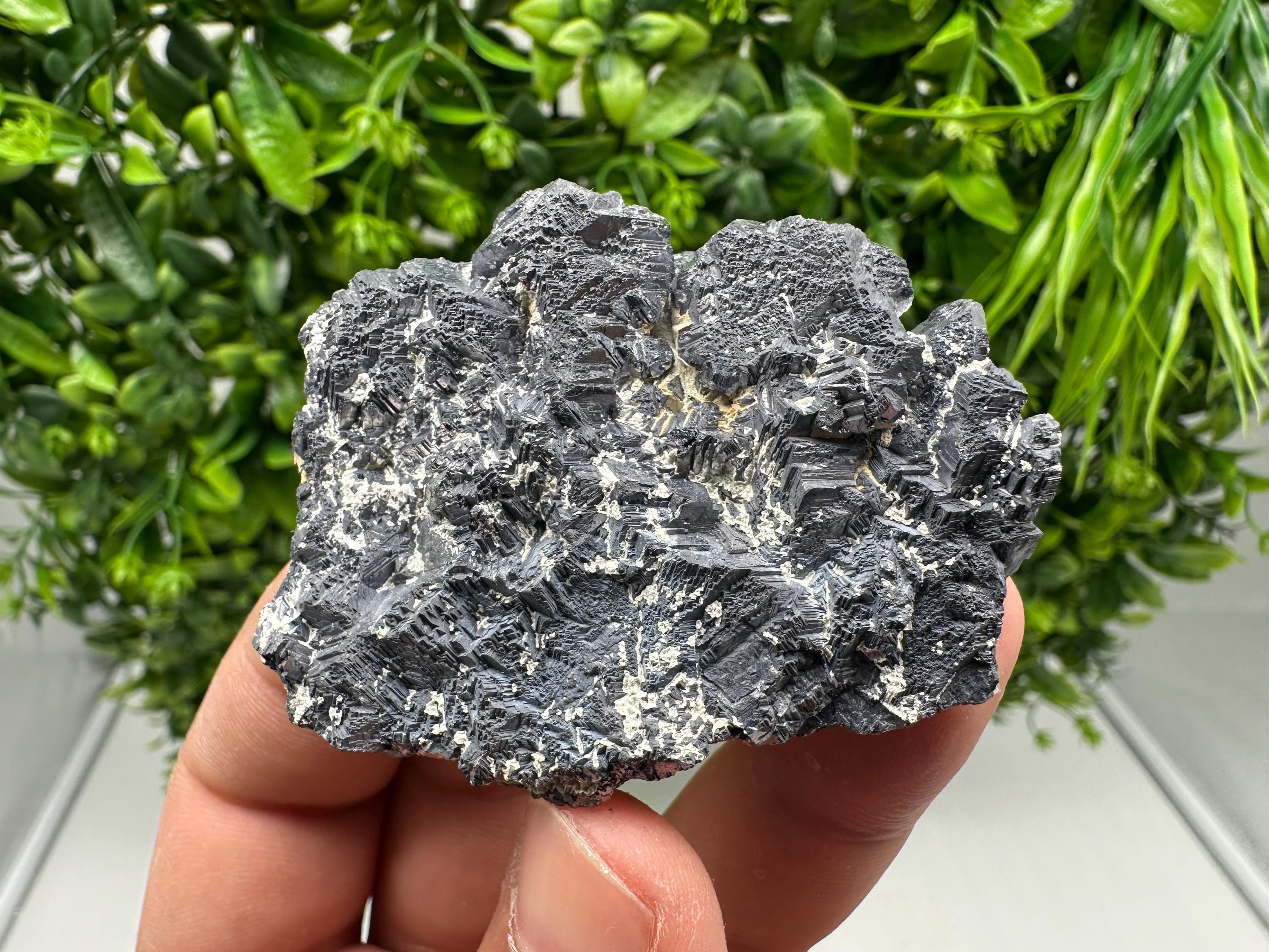 Galena Spinel Law Mineral Specimen: Krushev Dol, Bulgaria