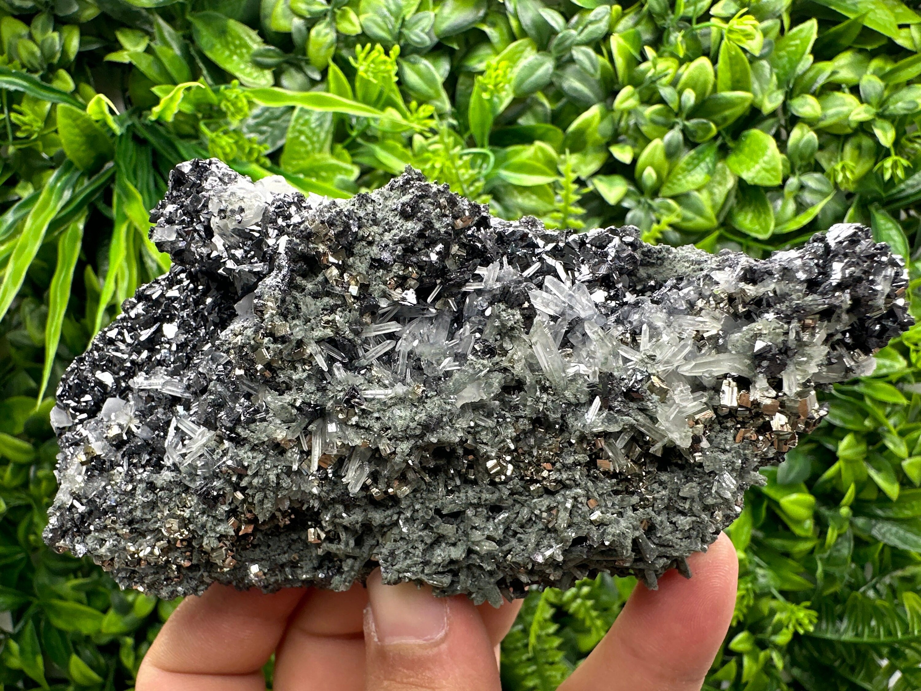 Pyrite Sphalerite Quartz Cluster with Chlorite, Borieva Bulgaria