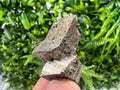 Mini Rainbow Pyrite Cluster: Borieva Mine, Bulgaria