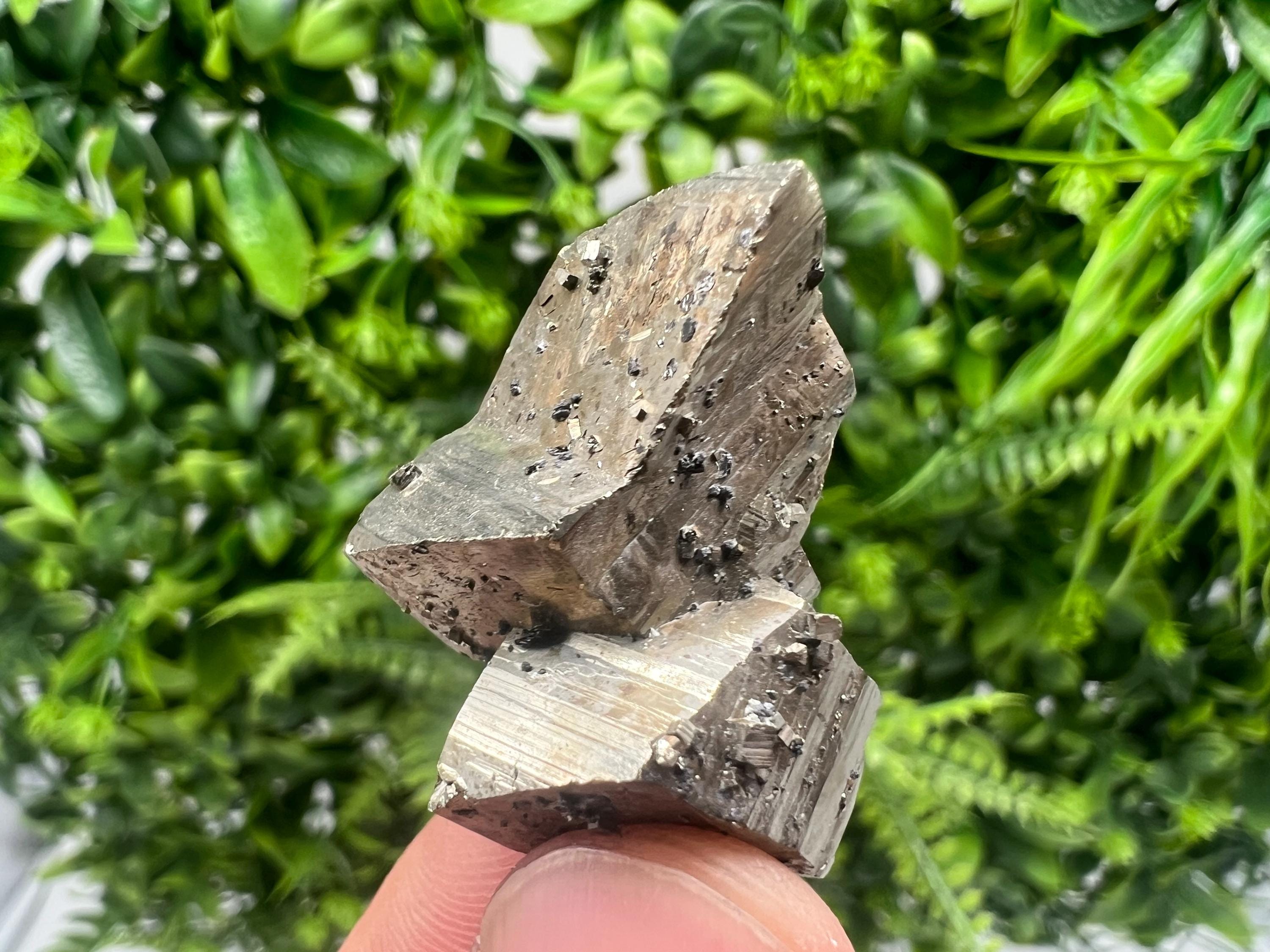 Mini Rainbow Pyrite Cluster: Borieva Mine, Bulgaria