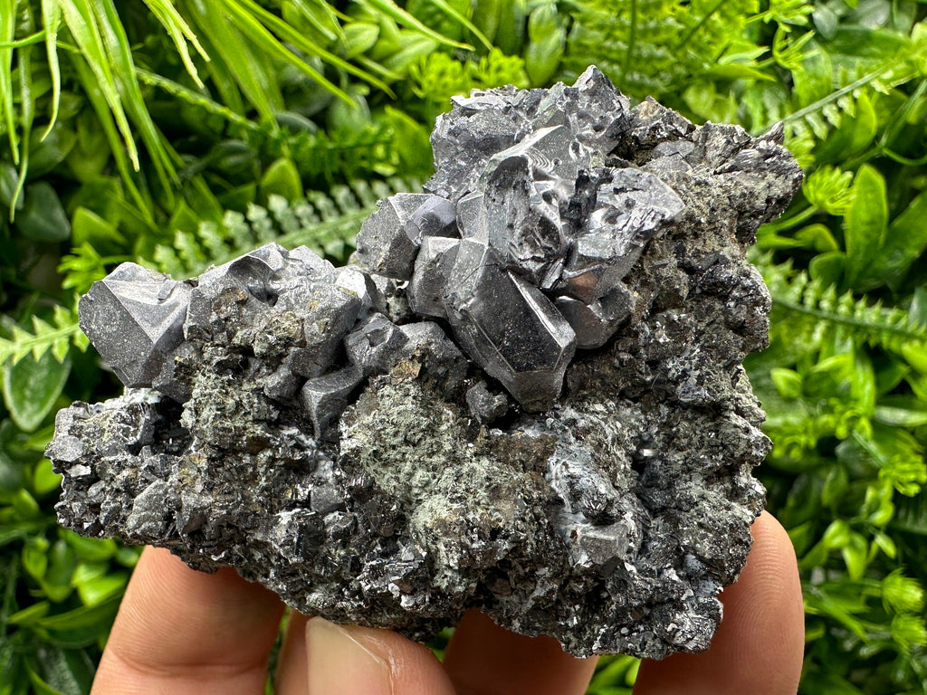 Galena Cluster on Matrix: Natural Mineral Specimen, Bulgaria