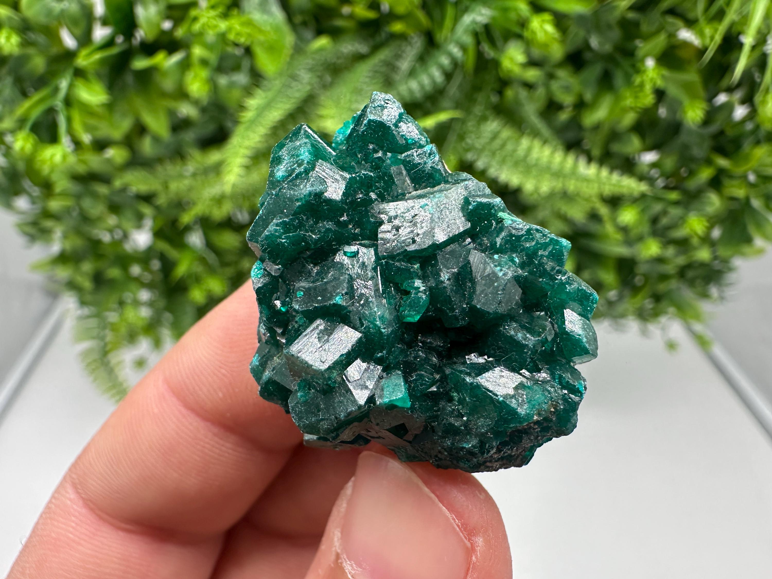 Stunning Green Dioptase from Sanda Hills,Mindouli,Pool Department,Mindouli District,Congo,green Dioptase,Dioptas Crystal,Dioptase collecting