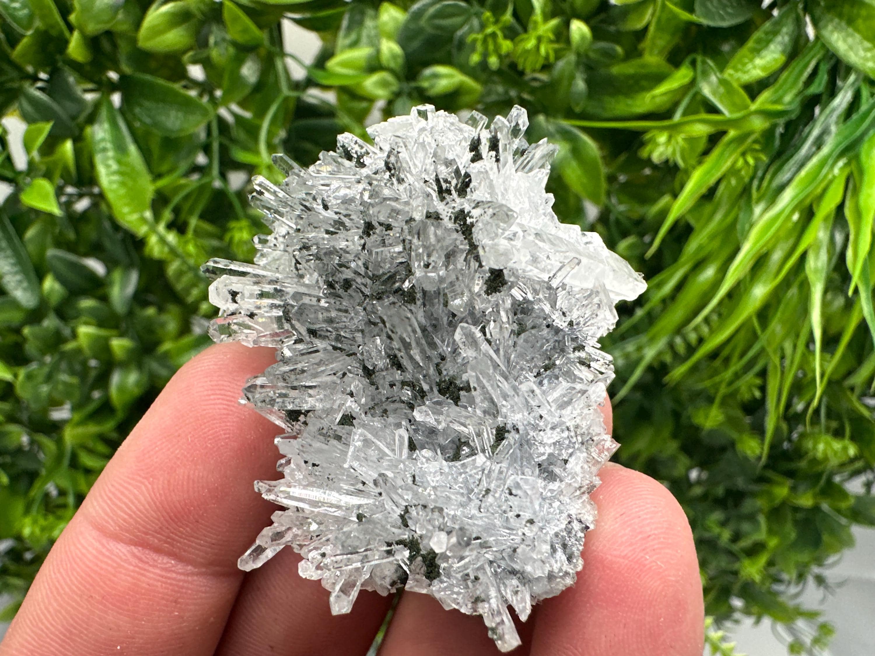 Chlorite Quartz Crystal Cluster - Borieva Mine, Bulgaria