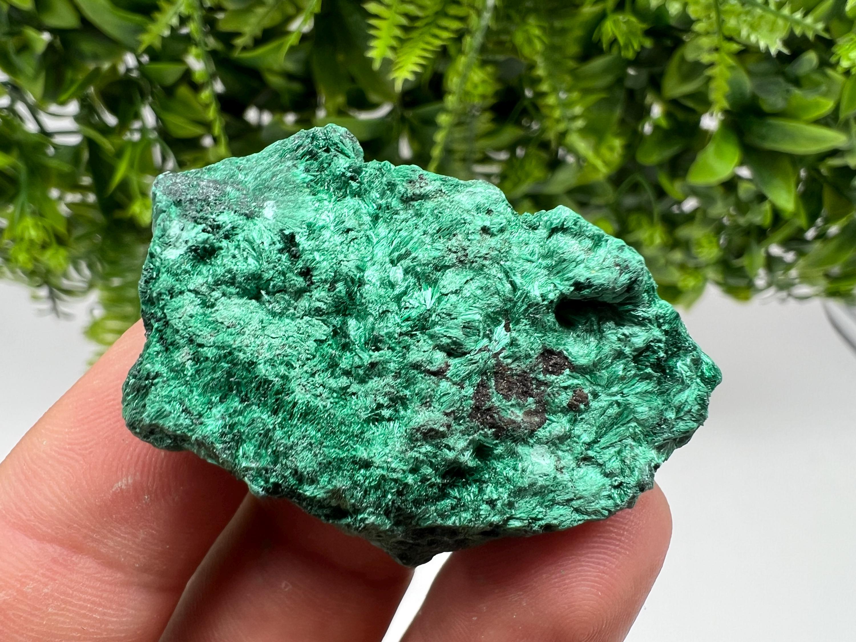 Malachite Crystal from Congo,Minerals,Crystals from Congo,Green Malachite, Malachite,Natural Malachite,Malachite Stone,Chakra, Specimens