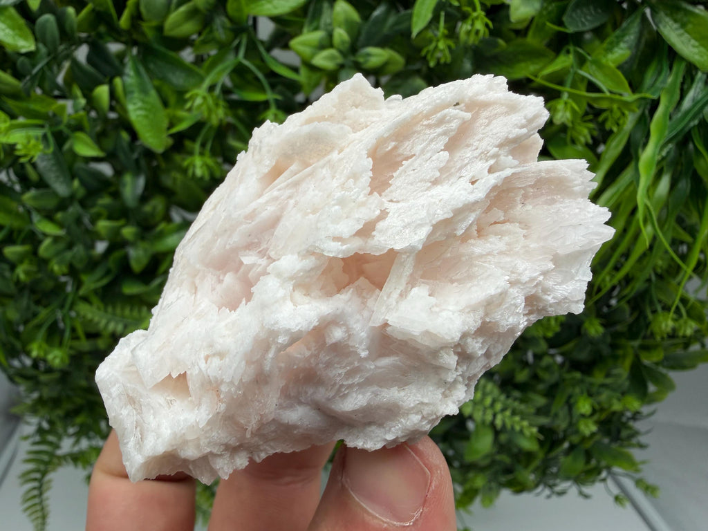 Mangano Calcite with Galena, Borieva Mine, Bulgaria