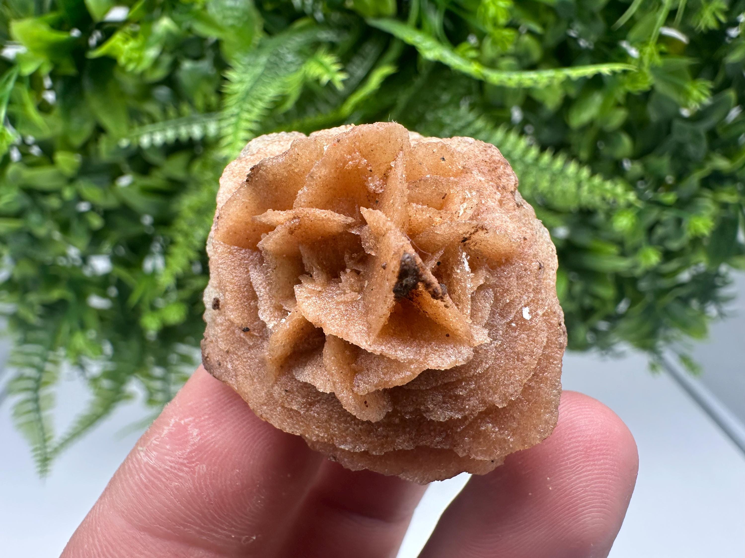 Desert Rose Crystal: Root Chakra Healing Selenite Stone