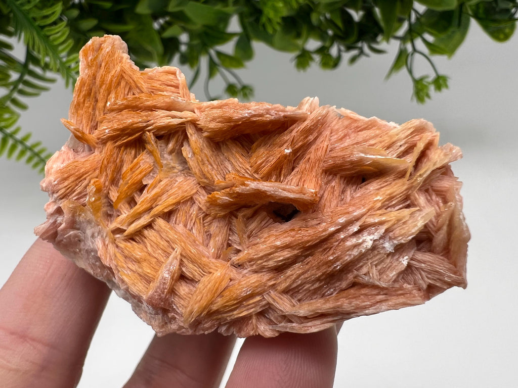 Wonderful Baryte with Cerussite on Galena from Morocco,Crystal, Mineral,Specimen,Cluster,Crystals,Barite Crystal,Cerussite Crystal,Specimen