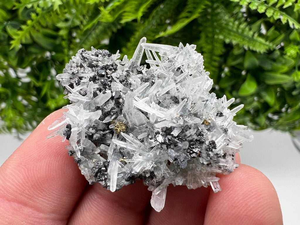 Sphalerite Chalcopyrite on Green Quartz with Hematite, Bulgaria Mineral Specimen