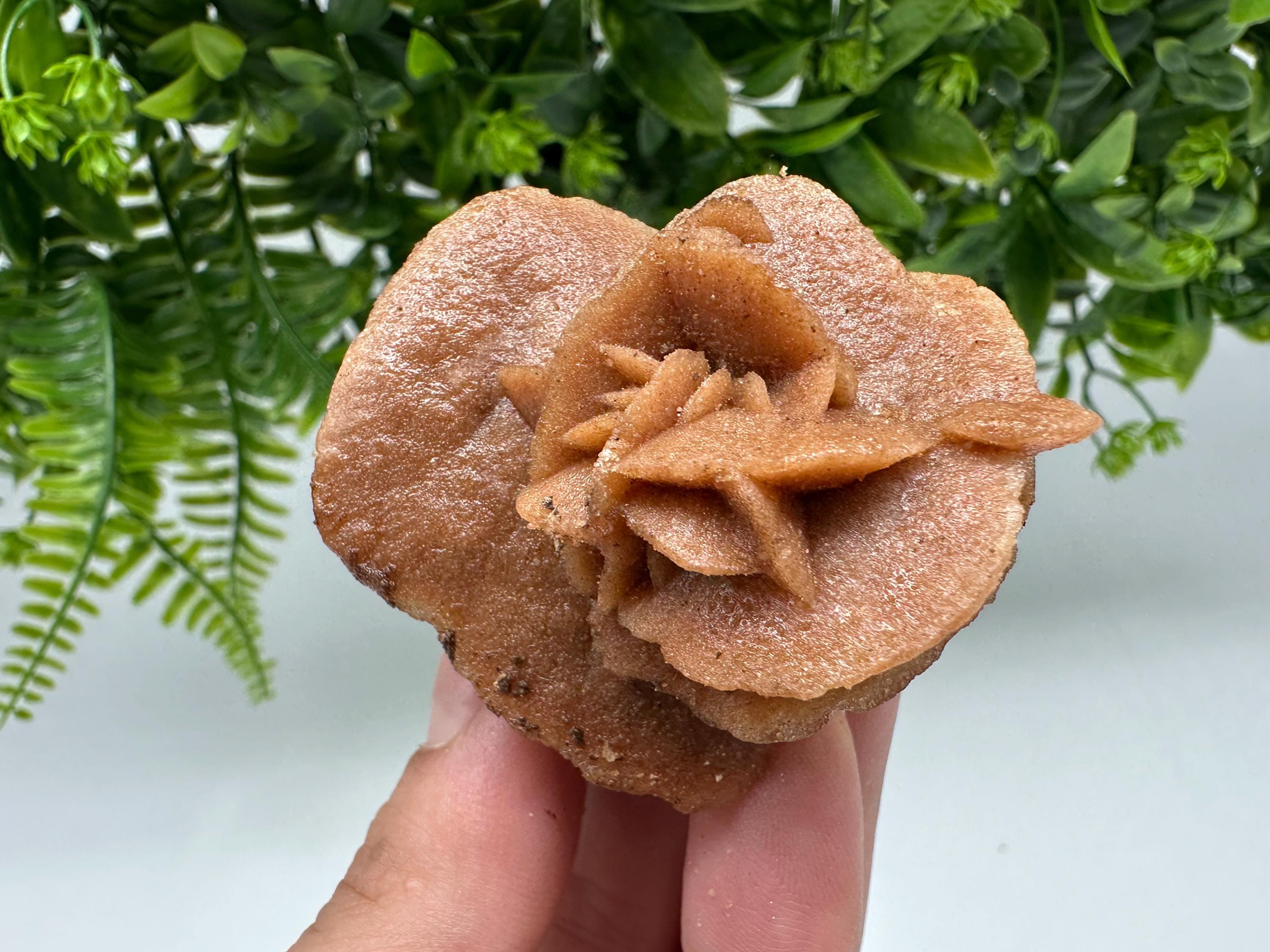 Natural Desert Rose Crystal – Root Chakra Selenite Stone, Home Decor