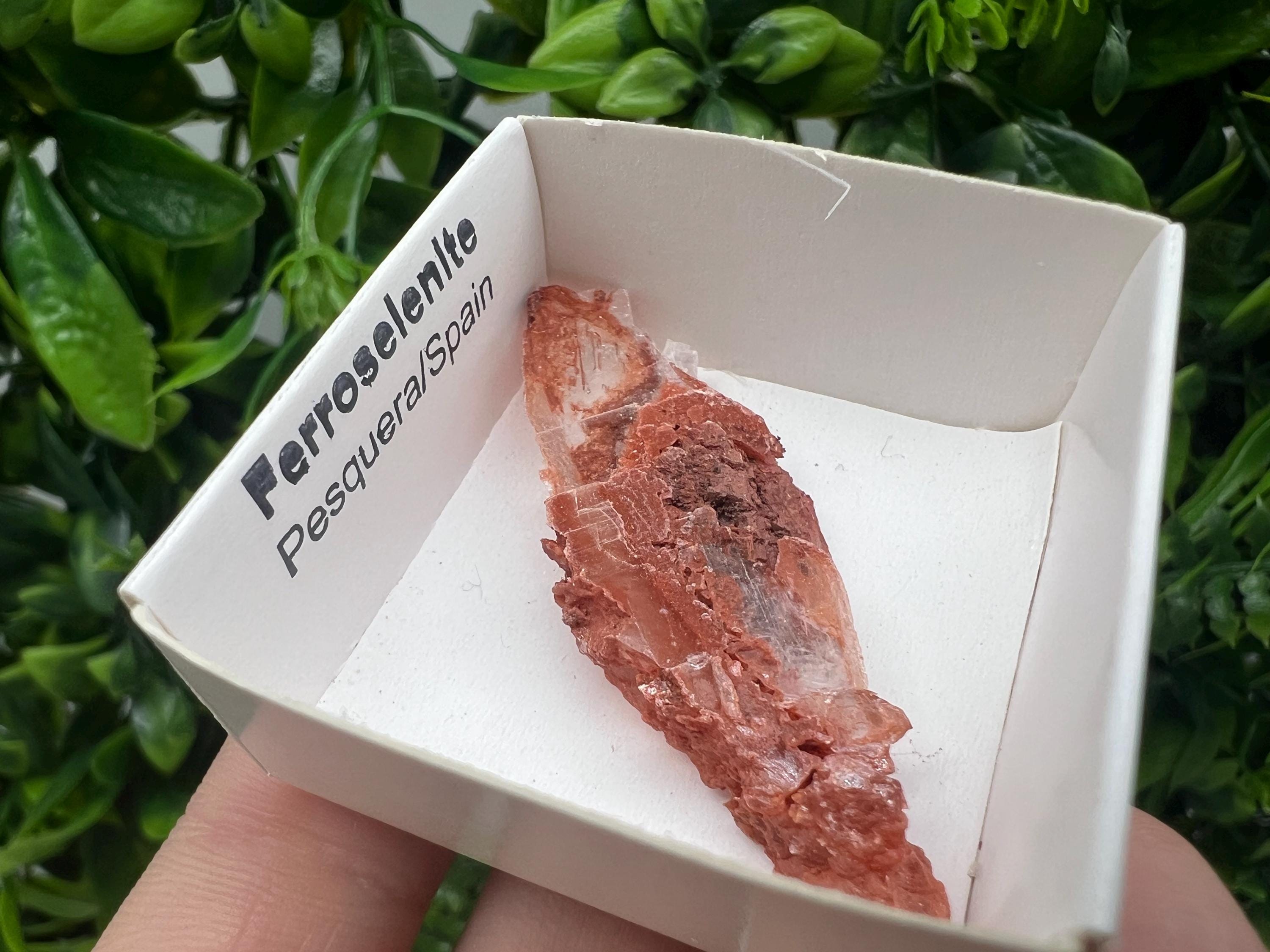 Rare Ferroselenite Specimen: La Pesquera, Spain Mineral (5/2 cm)