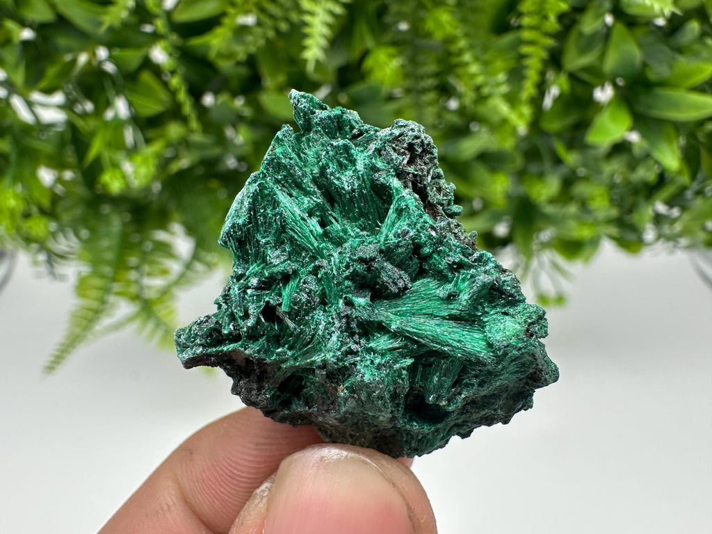 Malachite Crystal from Congo,Minerals,Crystals from Congo,Green Malachite, Malachite,Natural Malachite,Malachite Stone,Chakra, Specimens