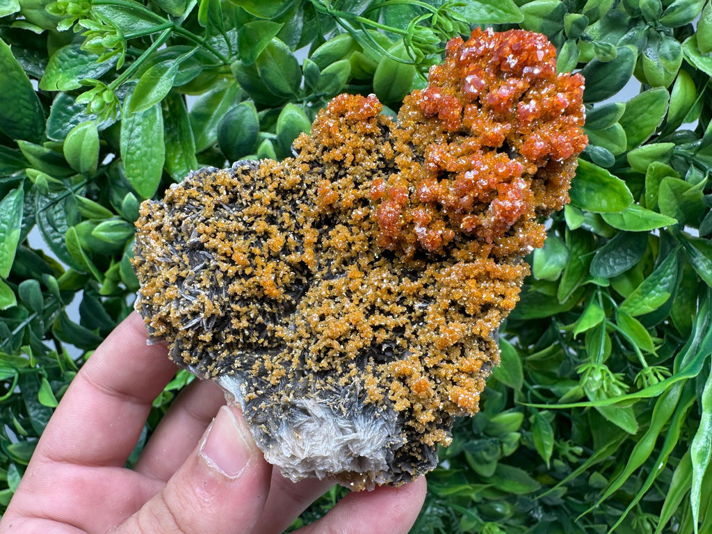 VERY Rare red Vanadinite on Barite whit Goethite from Marocco,crystal minerals Speciment cluster Vanadinite crystal Vanadinite Geology Vanad