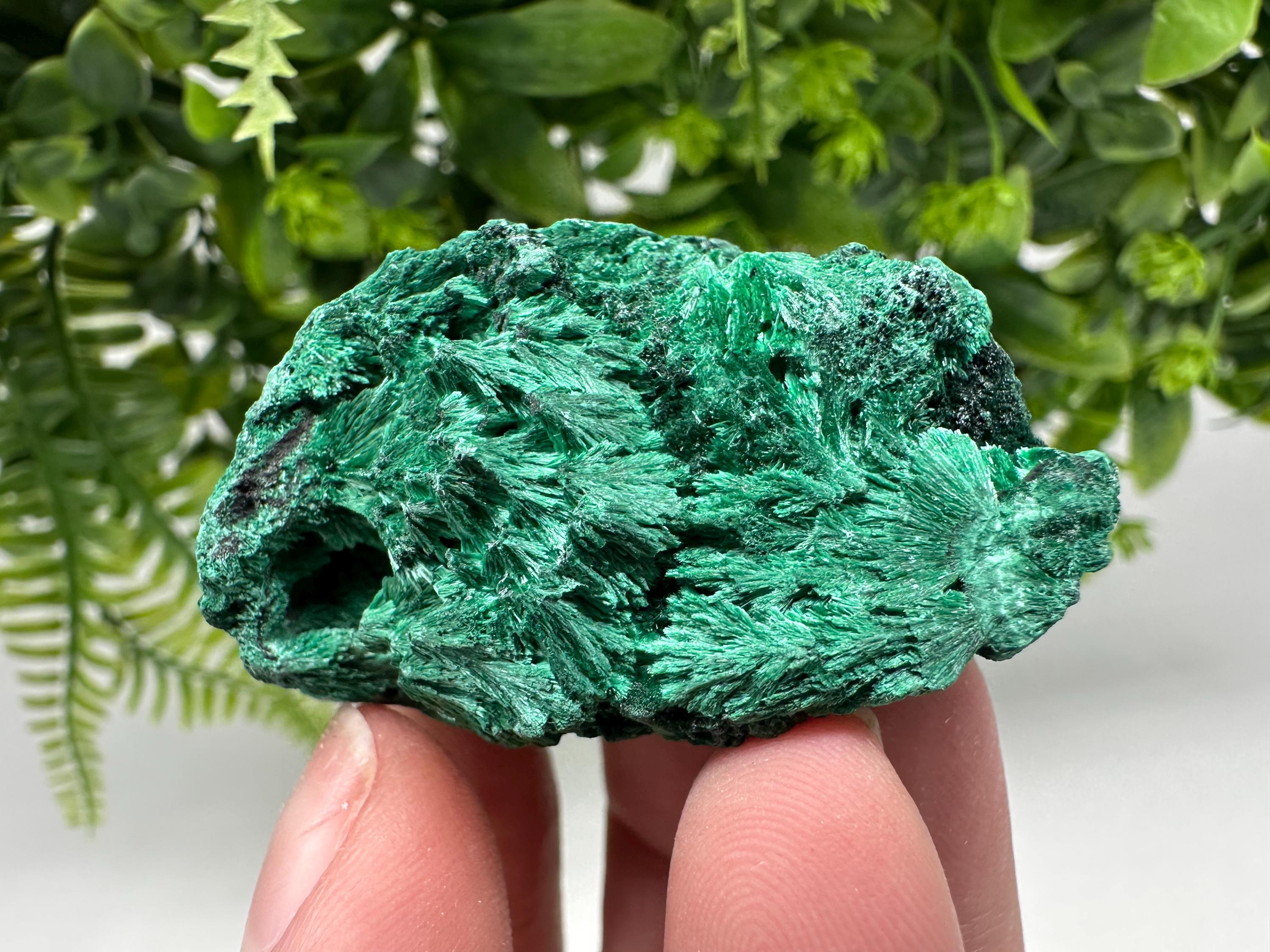 Polished Malachite Crystal Specimen from Congo, Green Mineral Chakra Stone