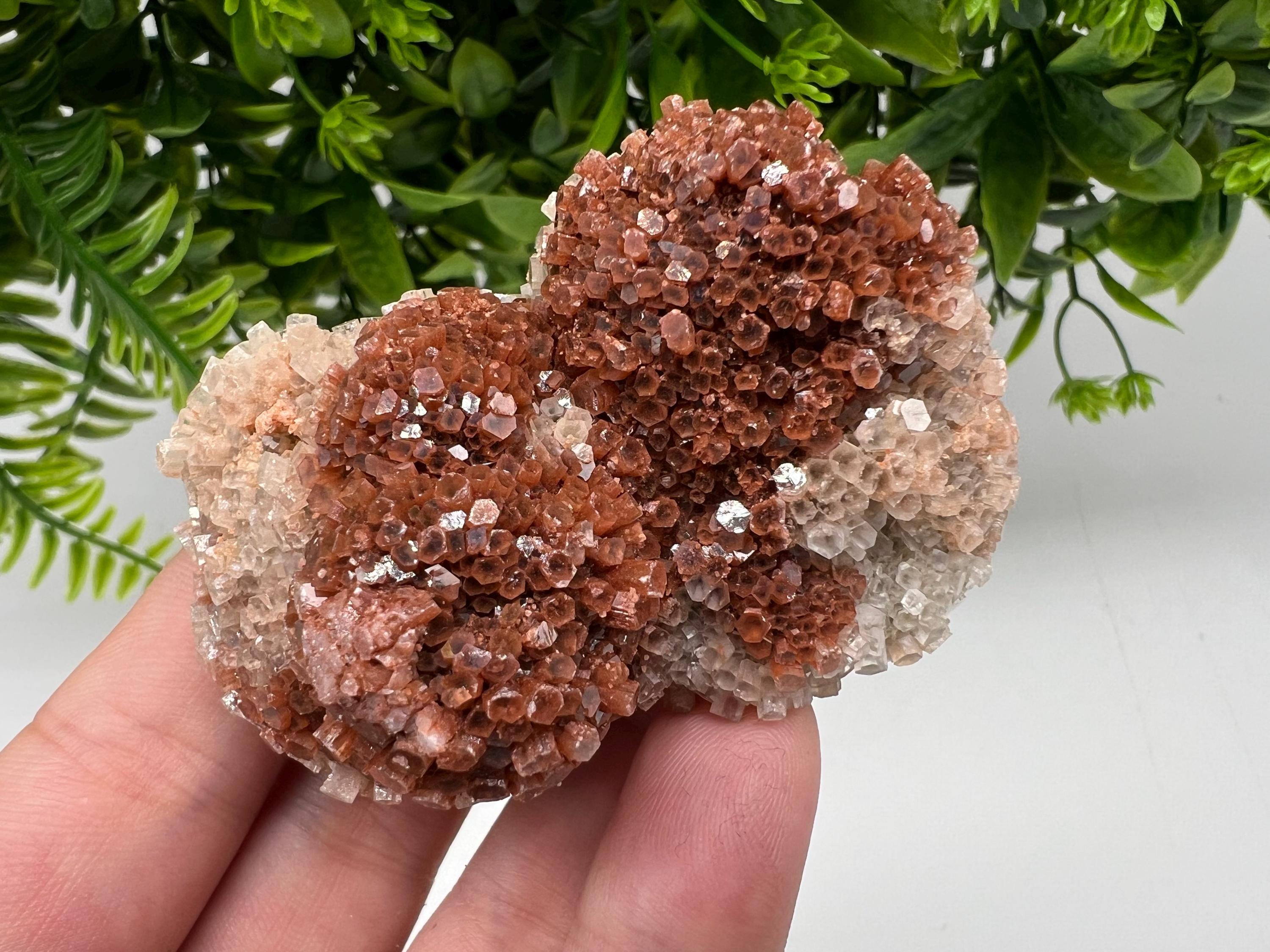 Large Aragonite Sputnik Cluster: Raw Moroccan Crystal Stone