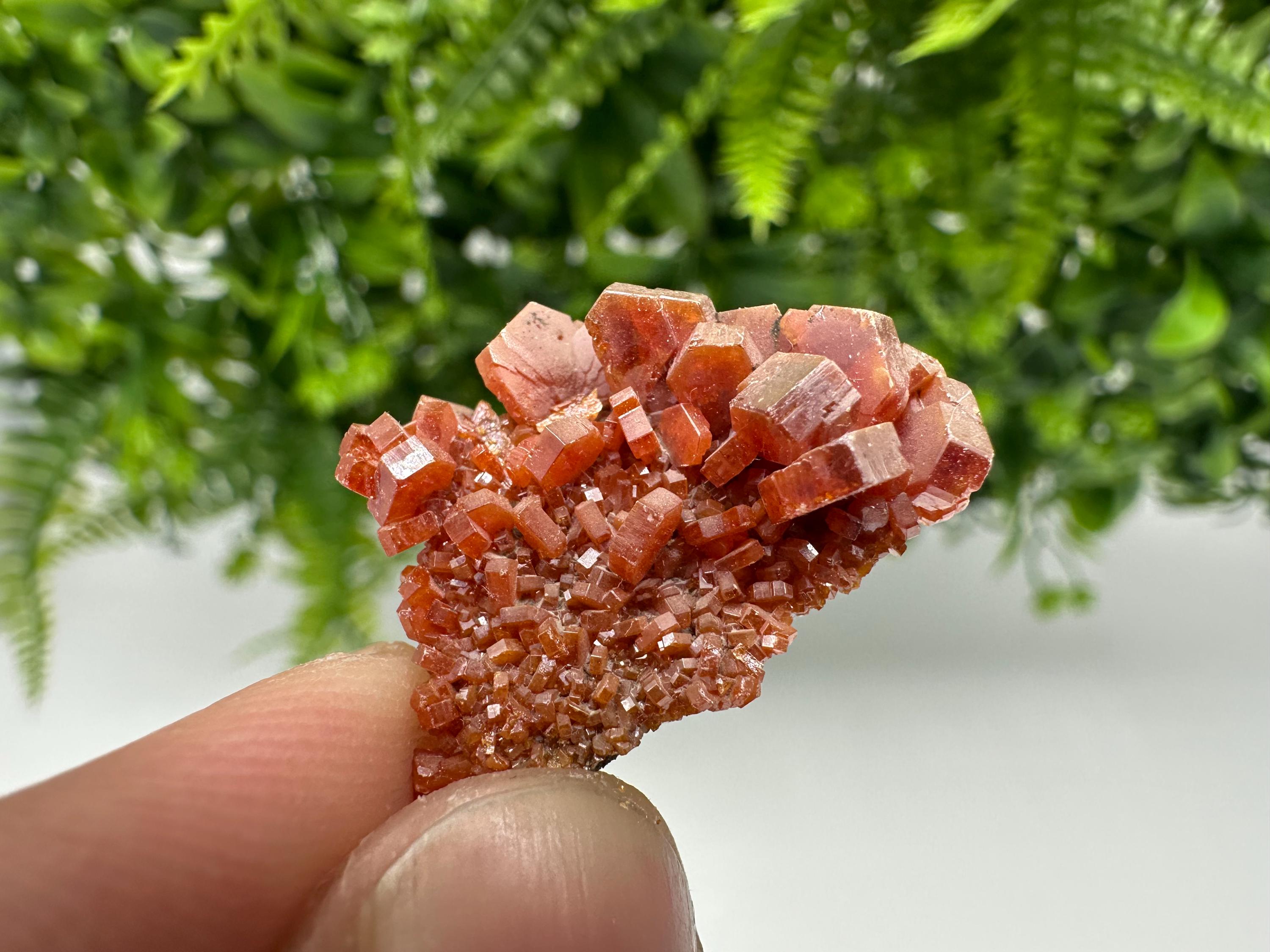 Red Vanadinite on Barite, Morocco Crystal Specimen, Geology Minerals