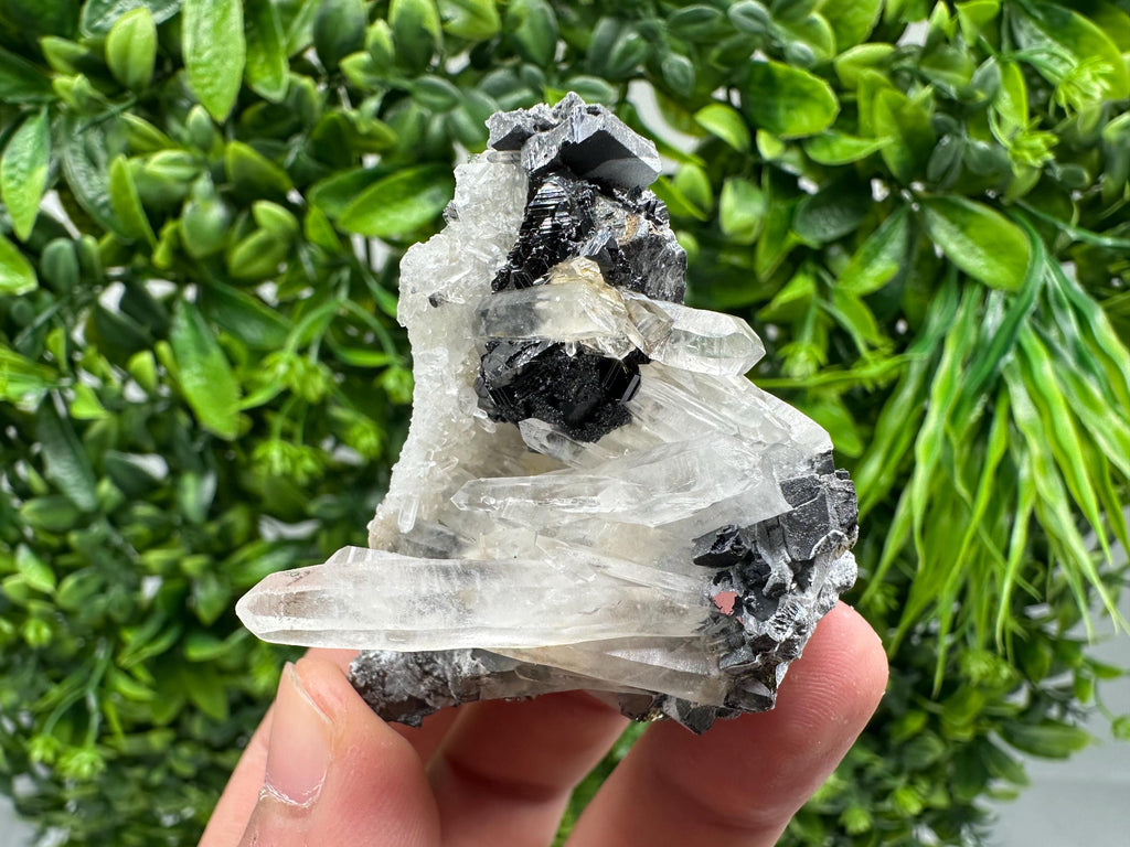 Wonderful Sphalerite Chalcopyrite on  Quartz whit Hematite feom 9 th September mine,Bulgaria,natural,collection mineral specimen,gift