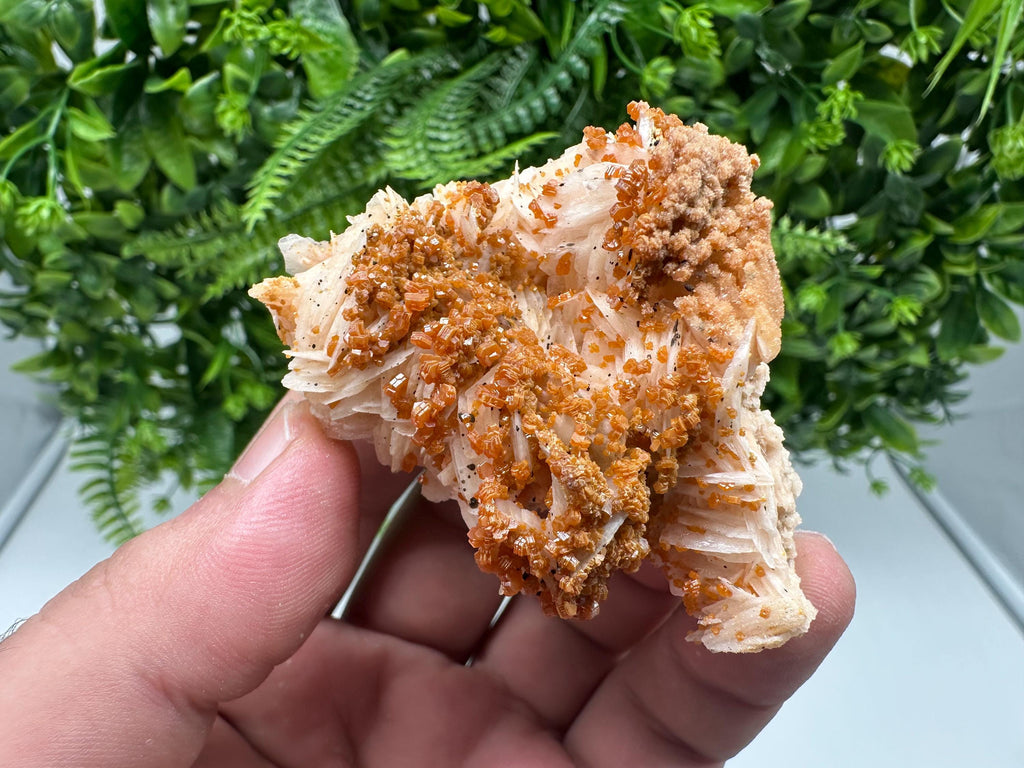 Red Vanadinite on Barite from Marocco,crystal minerals Speciment cluster Vanadinite crystal Vanadinite Geology Vanadinite cluster minerals