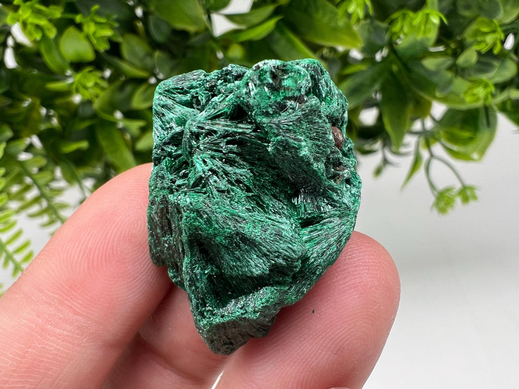 Malachite Crystal from Congo,Minerals,Crystals from Congo,Green Malachite, Malachite,Natural Malachite,Malachite Stone,Chakra, Specimens