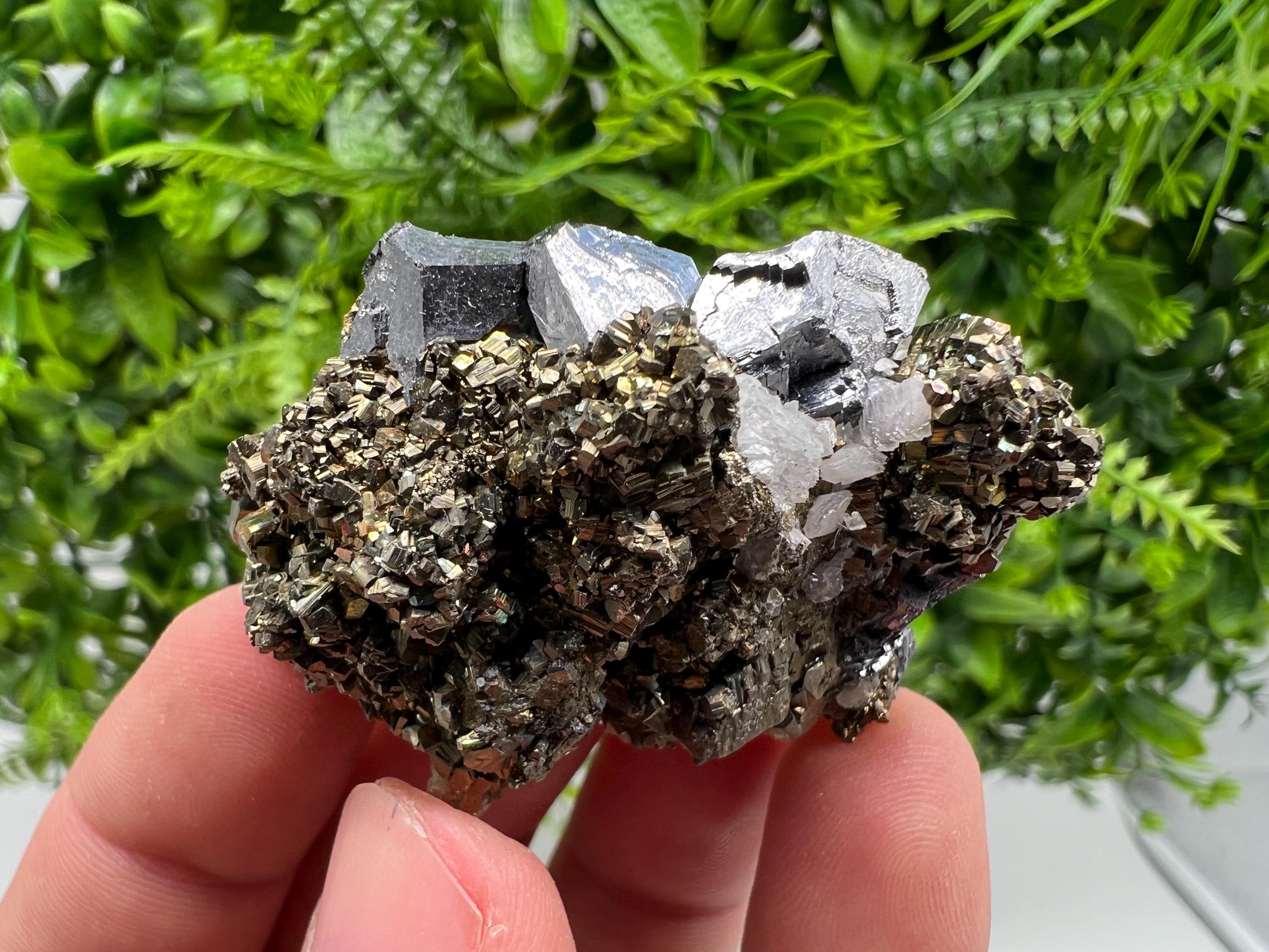 Galena on Pyrite Specimen: Borieva Mine, Bulgaria