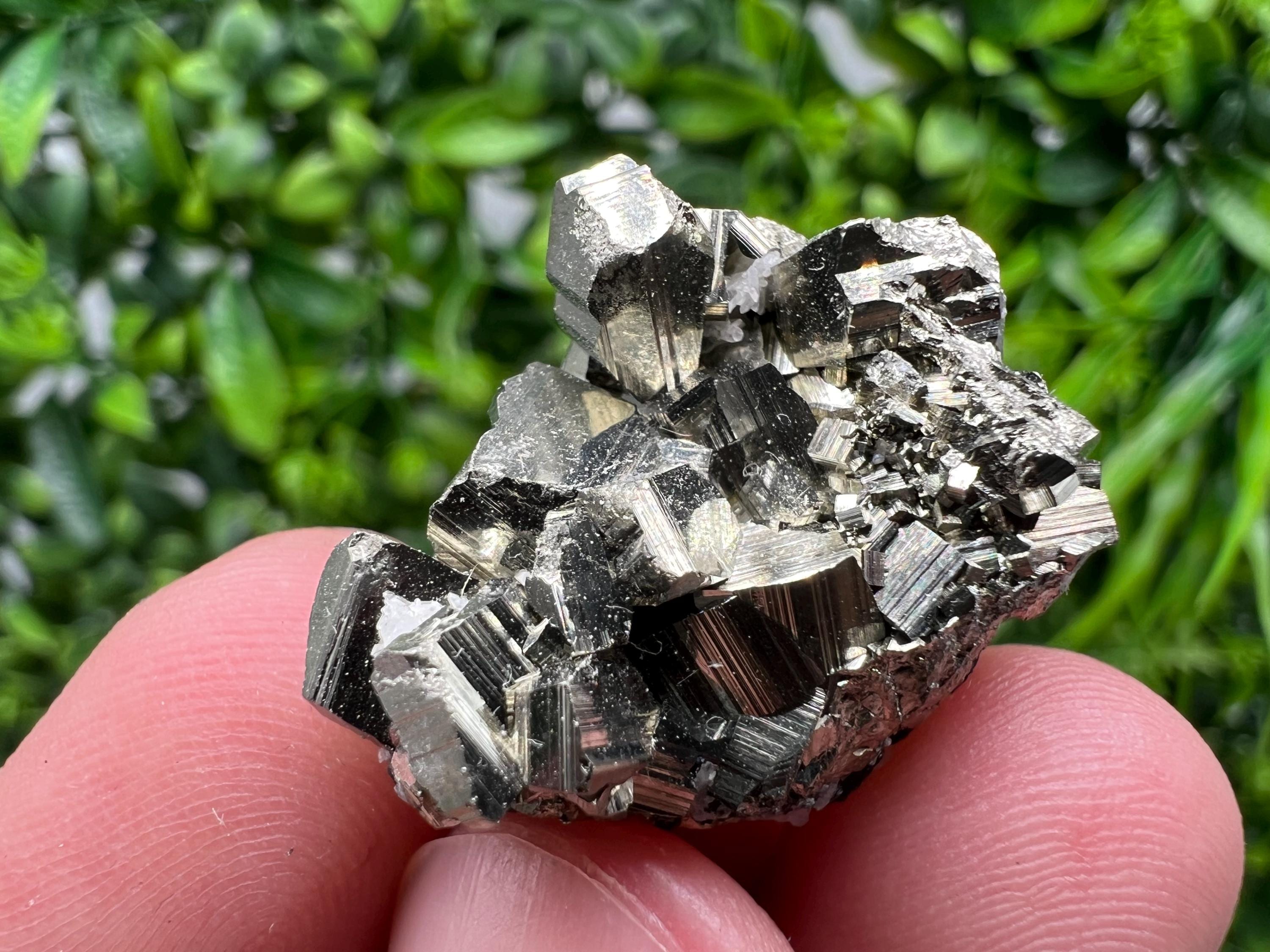 Golden Pyrite,Sphalerite from 9th September mine,Madan,Bulgaria,natural,collectible mineral specimen,home decor crystal,Pyrite cluster,