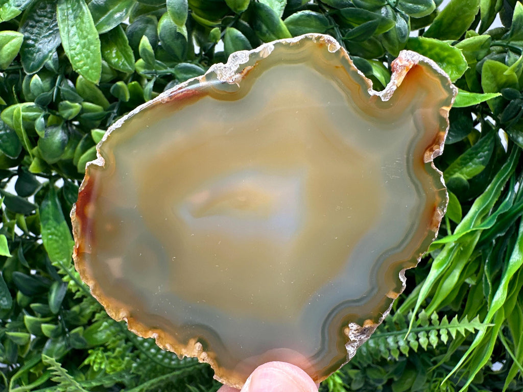 Polished Agate Slice: Spiritual Healing Crystal Coaster (10/9cm)