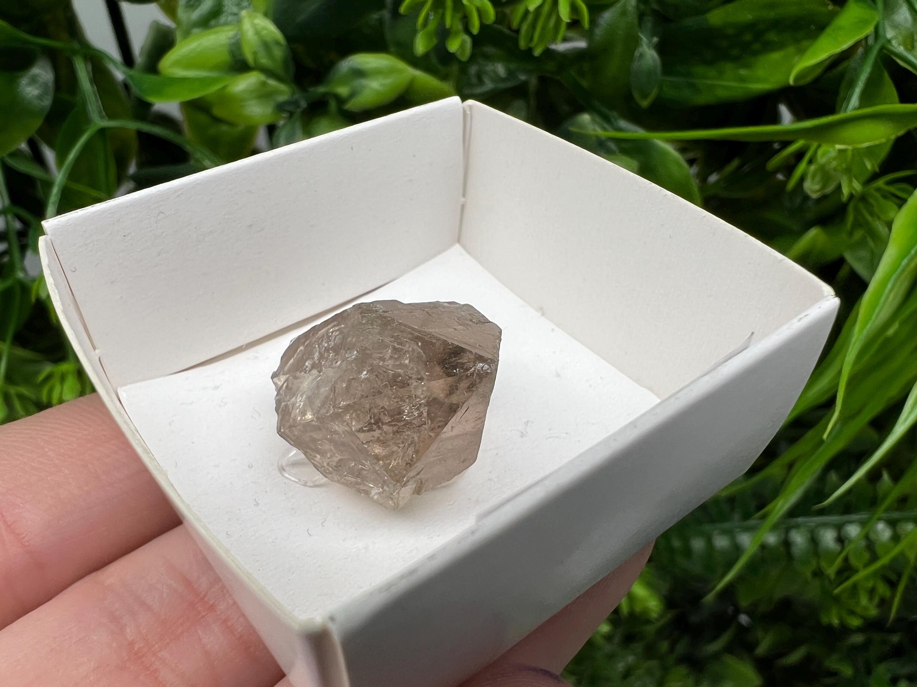 Rare Smoky Quartz Point, Fedenstock Switzerland Mineral Specimen (22/22 MM)