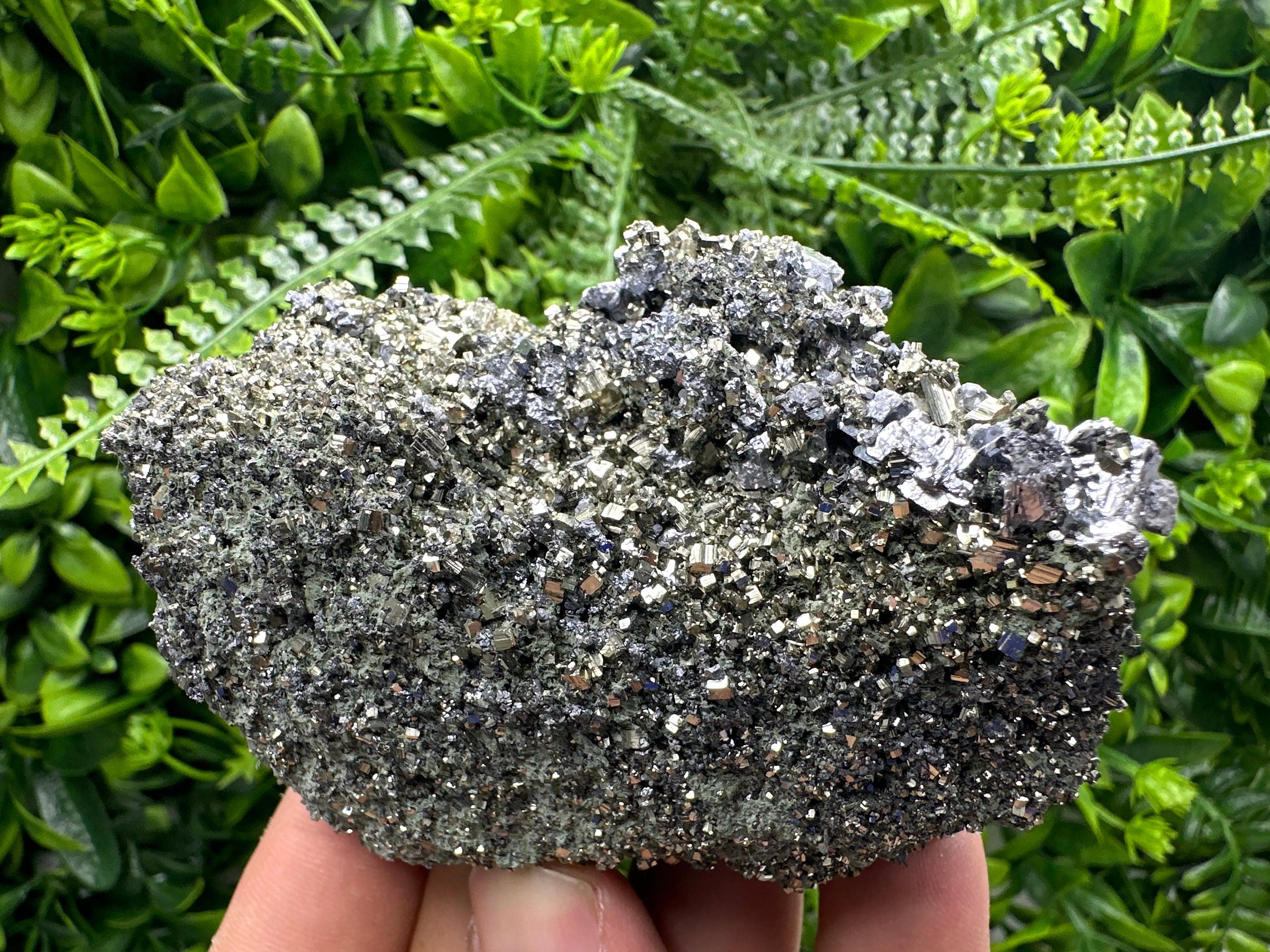Galena on Pyrite Specimen: Borieva Mine, Bulgaria