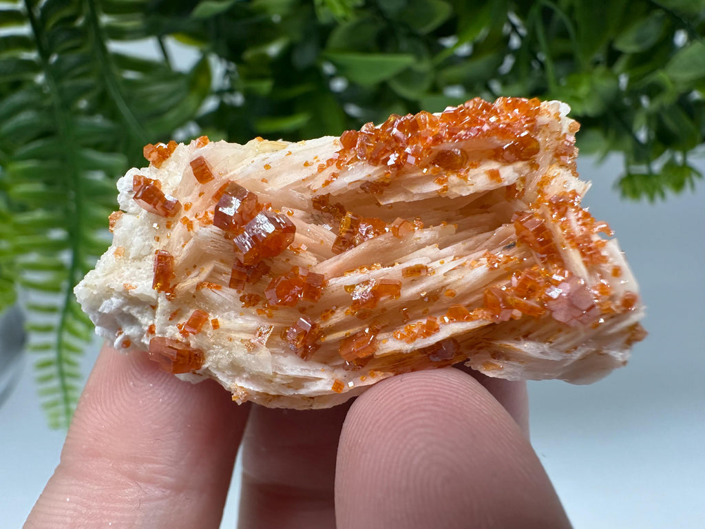 Red Vanadinite Crystal Cluster on Barite, Morocco Mineral Specimen