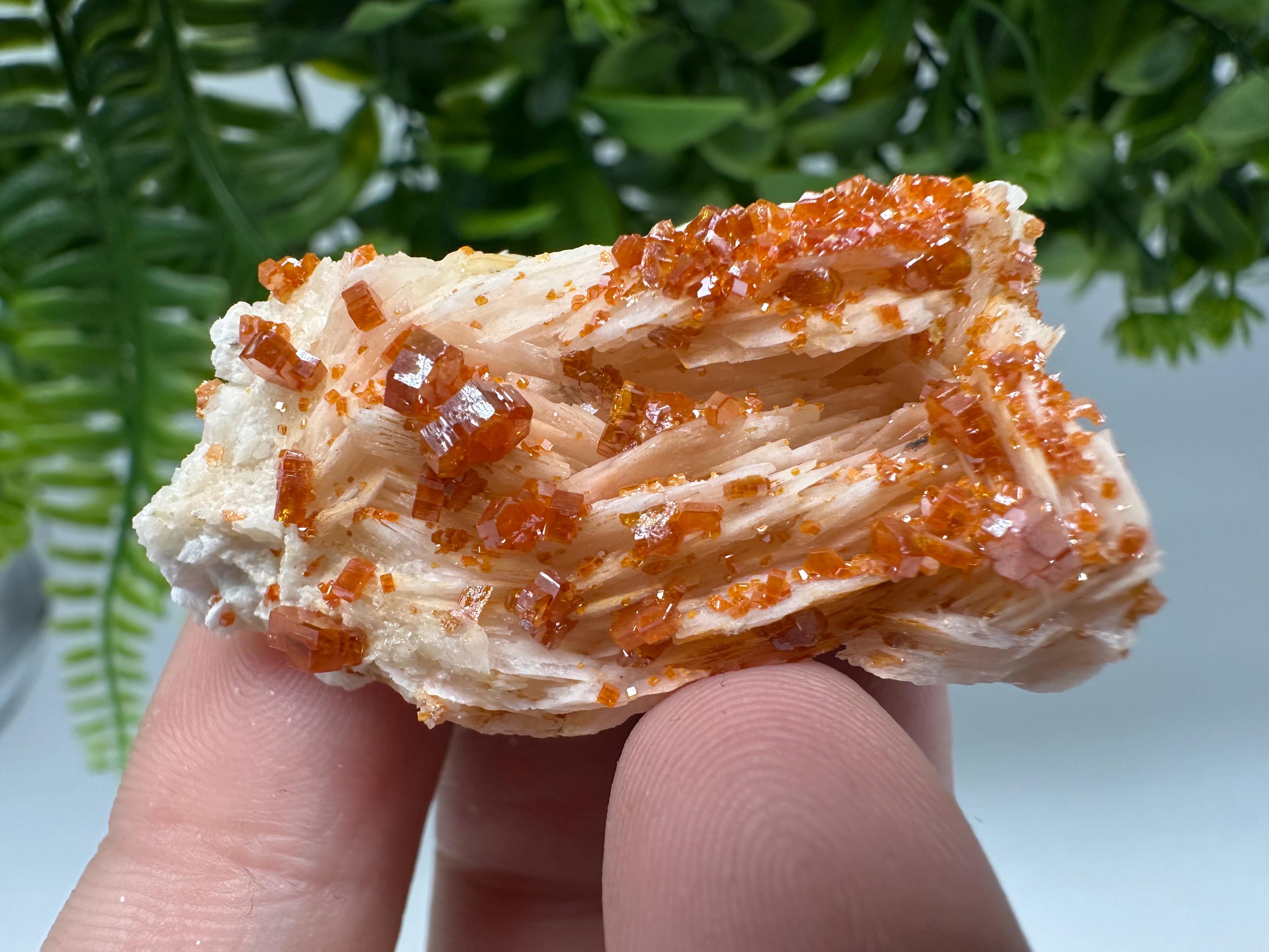Red Vanadinite Crystal Cluster on Barite, Morocco Mineral Specimen