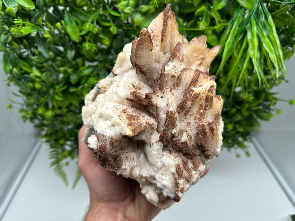 Stunning Brown Rhodochrosite on Calcite,Chalcedony,from Djurcovo mine,Bulgaria,natural collection mineral specimen,home decor crystal,gift